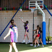 Day 2: Volleyball & Netball